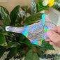 Sun Catcher PVC Self Adhesive Glass Window Stickers