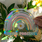 Sun Catcher PVC Self Adhesive Glass Window Stickers