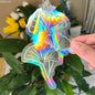 Sun Catcher PVC Self Adhesive Glass Window Stickers